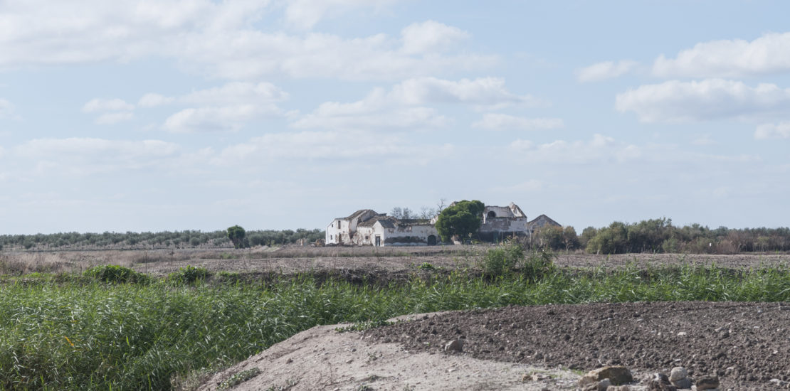Land Cleaning